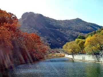 新澳门最精准免费大全，上海西餐学校